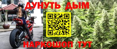 PSILOCYBIN Нарткала
