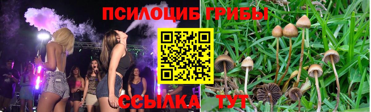 Псилоцибиновые грибы Psilocybe  Галлюциногенные грибы Magic Shrooms  Вход с VPN  Старая Купавна 